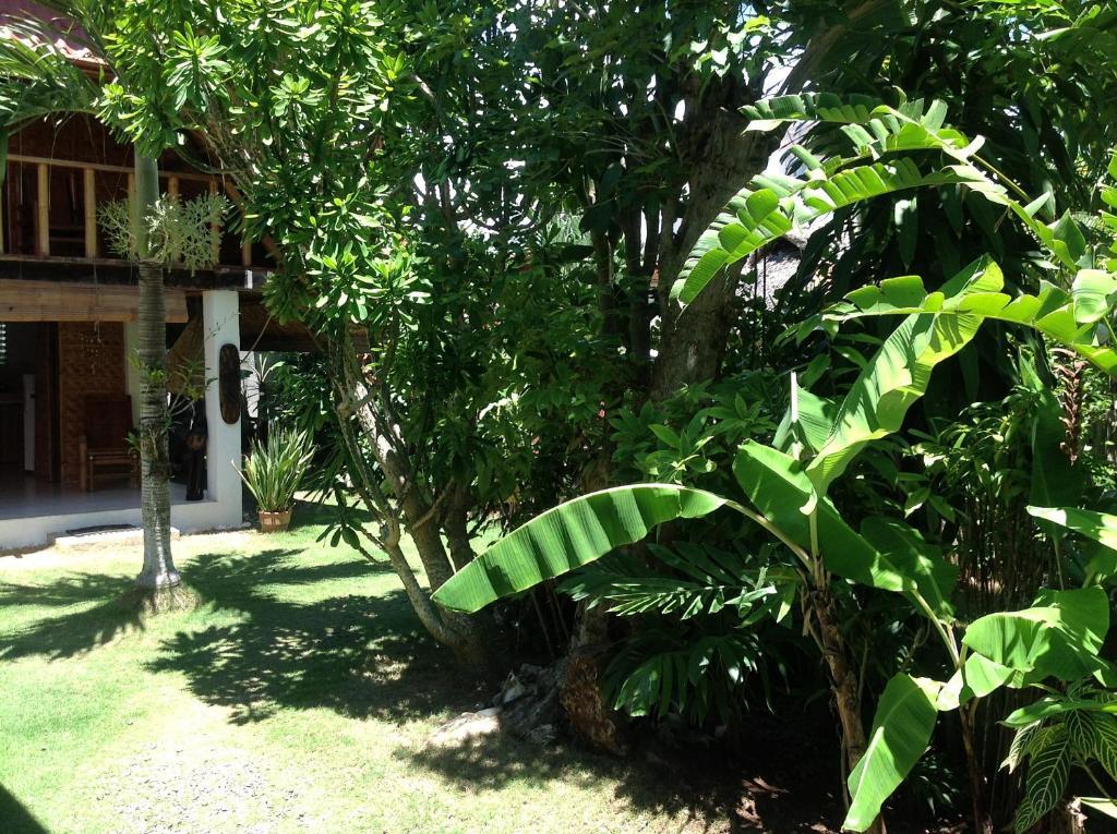 Alumbung Cottages Panglao Exteriör bild